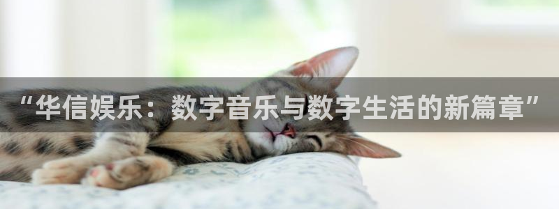 7790必发集团5注册：“华信娱乐：数字音乐与数字生活的新篇章”