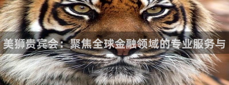 7790必发集团体育和杏耀是哪个公司的：美狮贵宾会：聚焦全球金融领域的专业服务与