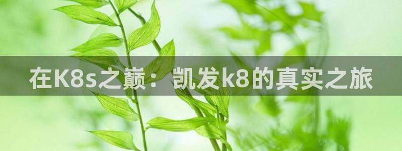 7790必发集团4登录：在K8s之巅：凯发k8的真实之旅