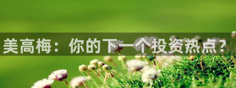 7790必发集团平台开户链接：美高梅：你的下一个投资热点？