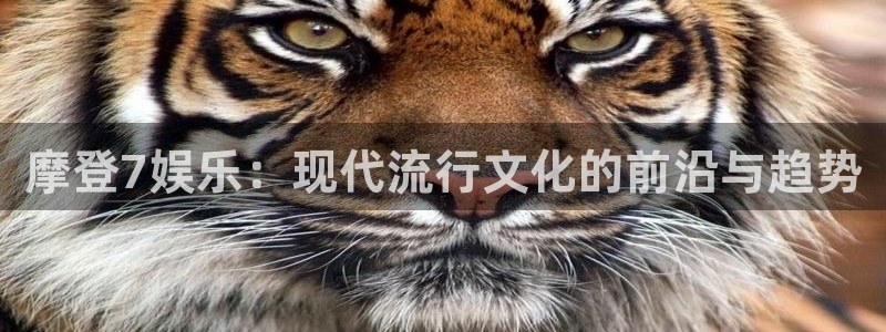 7790必发集团体育app下载：摩登7娱乐：现代流行文化的前沿与趋势