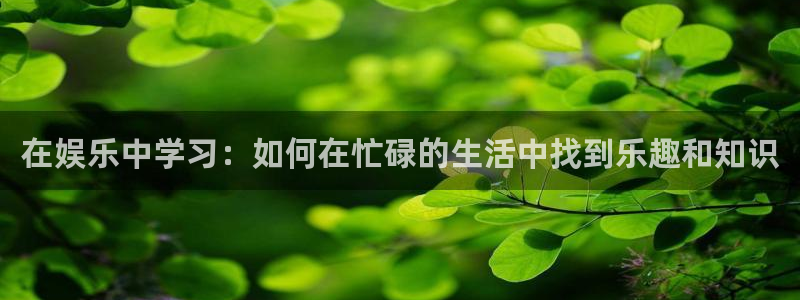 7790必发集团5：在娱乐中学习：如何在忙碌的生活中找到乐趣和知识