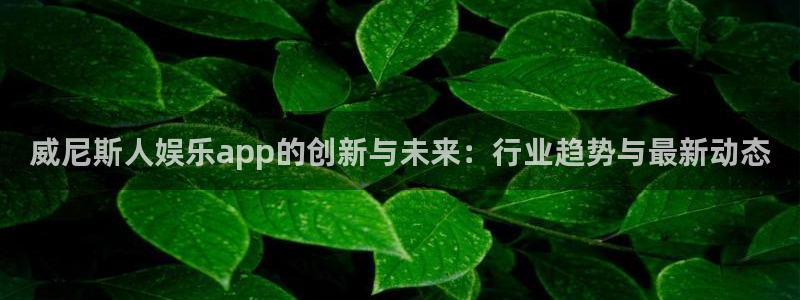 7790必发集团体育f开号：威尼斯人娱乐app的创新与未来：行业趋势与最新动态