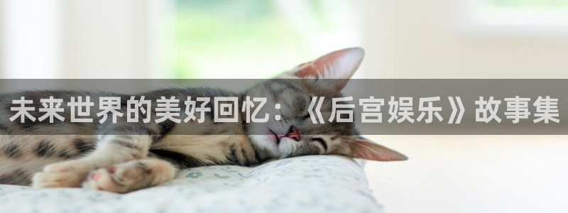 7790必发集团：未来世界的美好回忆：《后宫娱乐》故事集