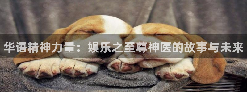 7790必发集团凯捷开号链接：华语精神力量：娱乐之至尊神医的故事与未来