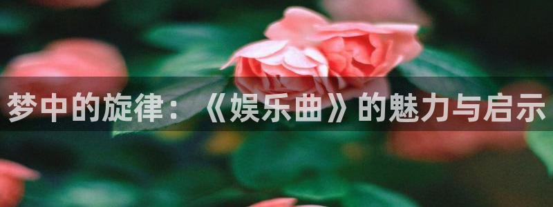 东莞市7790必发集团电子科技有限公司：梦中的旋律：《娱乐曲》的魅力与启示