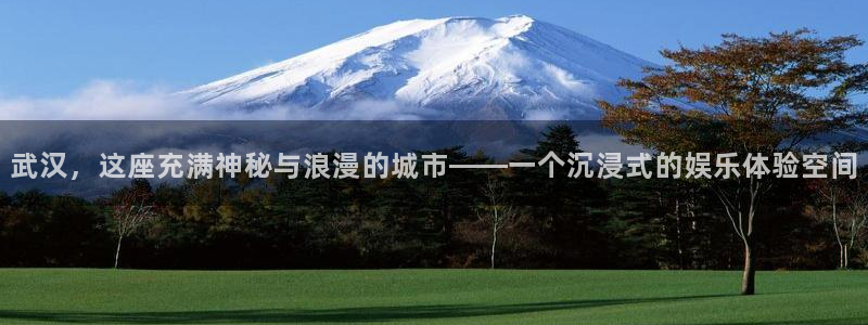 7790必发集团2代理注册：武汉，这座充满神秘与浪漫的城市——一个沉浸式的娱乐体