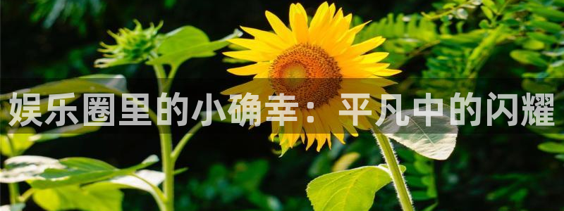 7790必发集团体育2：娱乐圈里的小确幸：平凡中的闪耀