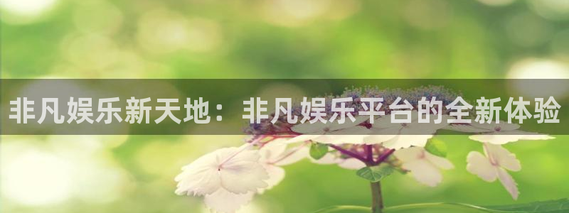 7790必发集团体育官网入口登录：非凡娱乐新天地：非凡娱乐平台的全新体验