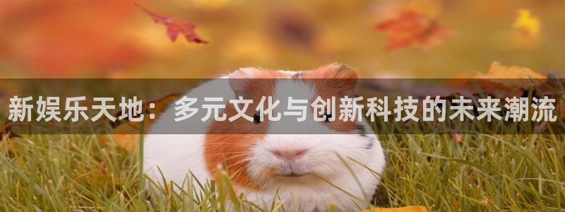 德国7790必发集团集团：新娱乐天地：多元文化与创新科技的未来潮流