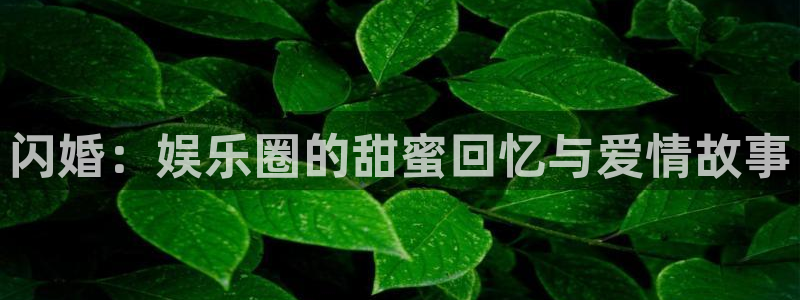 7790必发集团2平台登录：闪婚：娱乐圈的甜蜜回忆与爱情故事