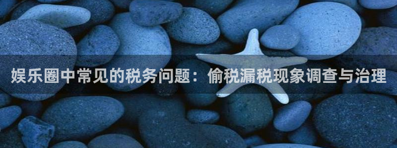 7790必发集团体育免费注册入口：娱乐圈中常见的税务问题：偷税漏税现象调查与治理