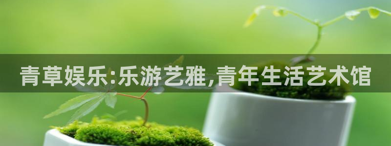 7790必发集团f凯捷平台在线注册：青草娱乐:乐游艺雅,青年生活艺术馆