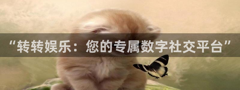 7790必发集团4官网：“转转娱乐：您的专属数字社交平台”