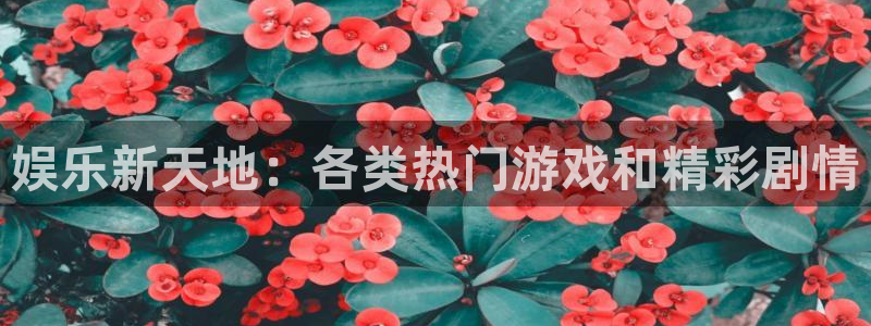 7790必发集团体育eon：娱乐新天地：各类热门游戏和精彩剧情