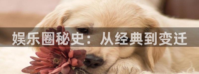 7790必发集团体育免费注册入口：娱乐圈秘史：从经典到变迁