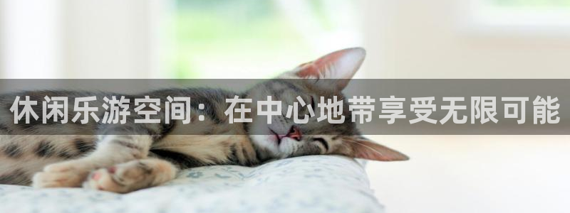 7790必发集团3注册：休闲乐游空间：在中心地带享受无限可能