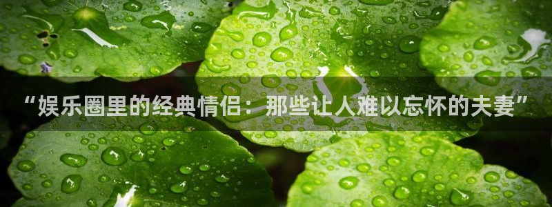 7790必发集团电子有限公司：“娱乐圈里的经典情侣：那些让人难以忘怀的夫妻”