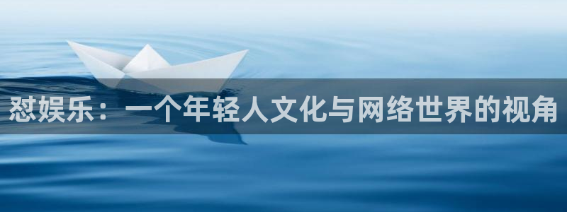 7790必发集团主管：怼娱乐：一个年轻人文化与网络世界的视角