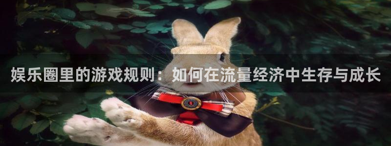 7790必发集团体育凯捷代理注册：娱乐圈里的游戏规则：如何在流量经济中生存与成长