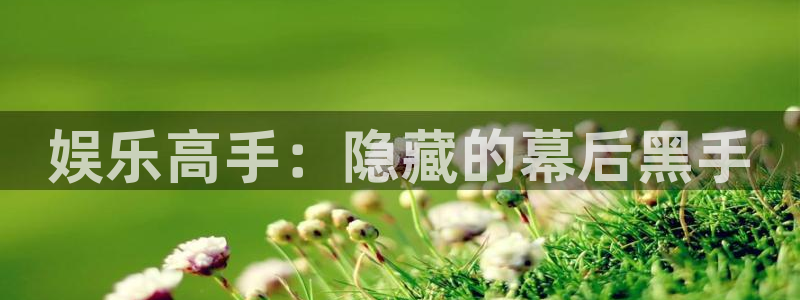 7790必发集团体育合法嘛：娱乐高手：隐藏的幕后黑手