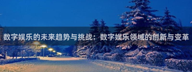 7790必发集团k：数字娱乐的未来趋势与挑战：数字娱乐领域的创新与变革