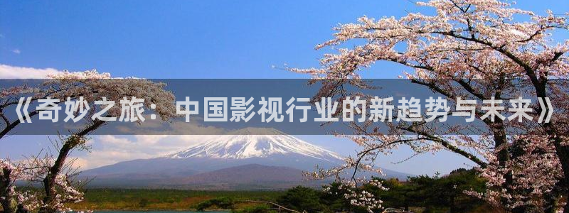 7790必发集团5招商：《奇妙之旅：中国影视行业的新趋势与未来》